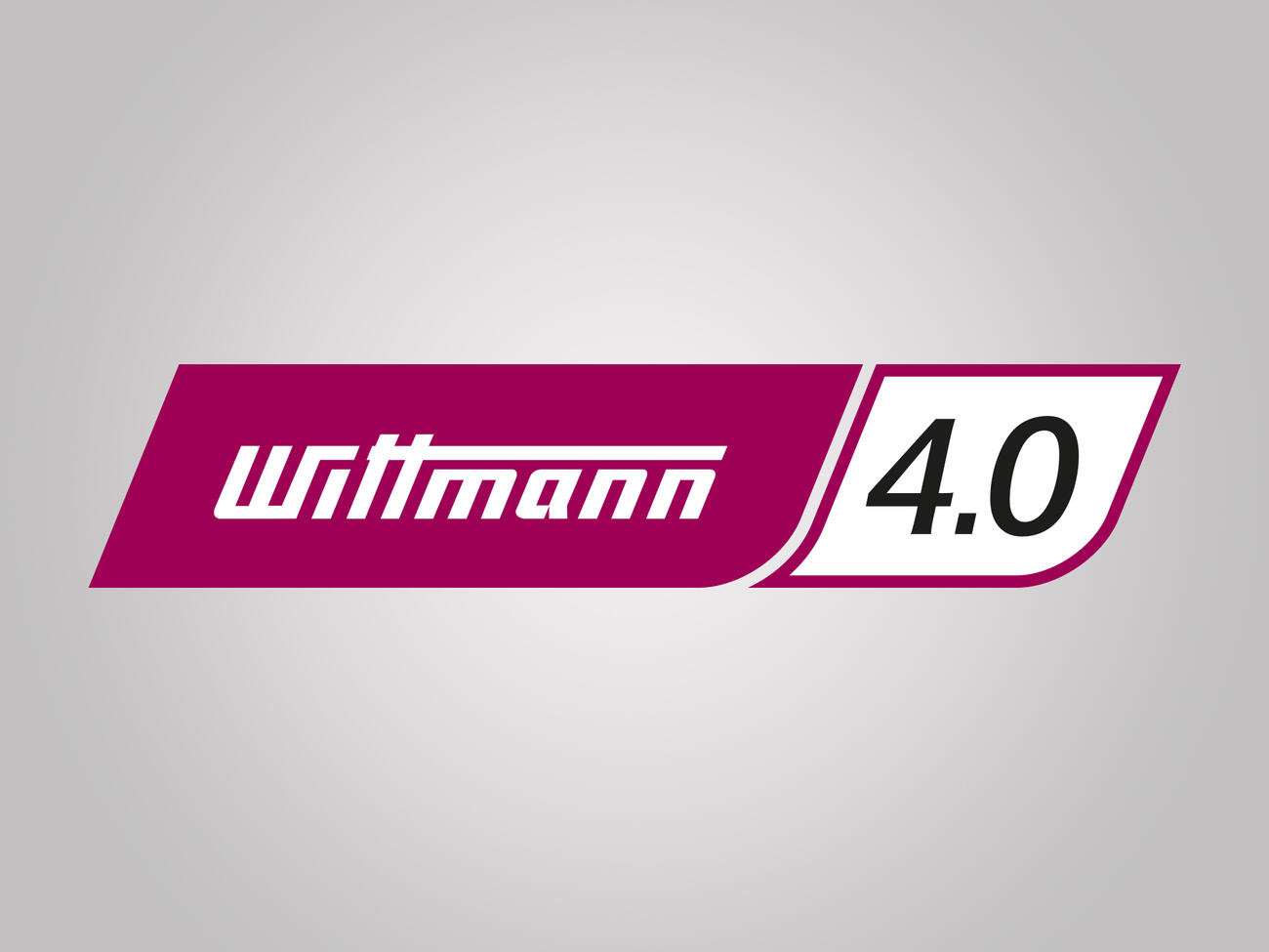 WITTMANN 4.0